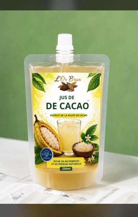 Jus de cacao L'Or Brun 250 ml